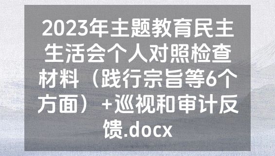 2023年主题教育民主生活会个人对照检查材料（践行宗旨等6个方面）+巡视和审计反馈.docx