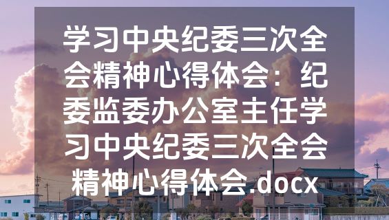 学习中央纪委三次全会精神心得体会：纪委监委办公室主任学习中央纪委三次全会精神心得体会.docx