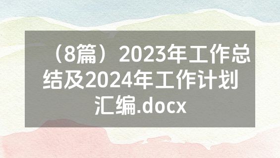 （8篇）2023年工作总结及2024年工作计划汇编.docx