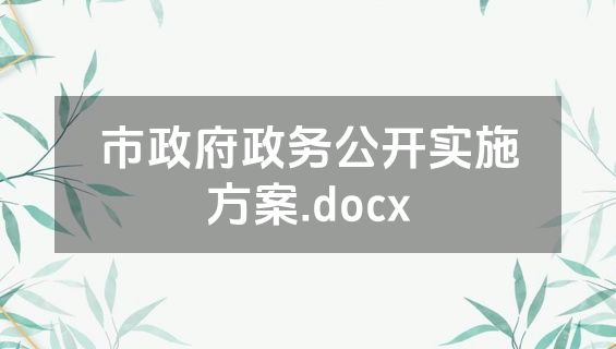 市政府政务公开实施方案.docx