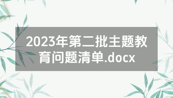 2023年第二批主题教育问题清单.docx
