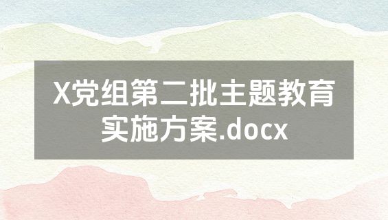 X党组第二批主题教育实施方案.docx
