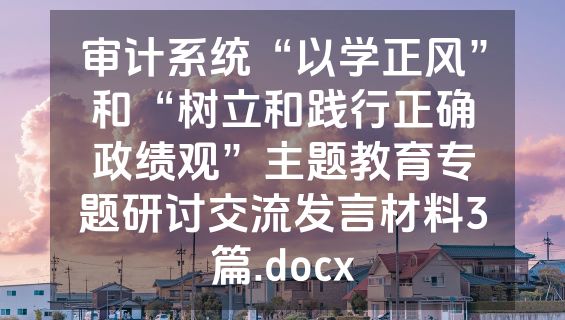 审计系统“以学正风”和“树立和践行正确政绩观”主题教育专题研讨交流发言材料3篇.docx