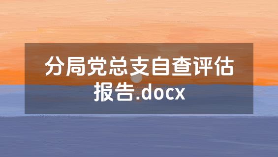 分局党总支自查评估报告.docx