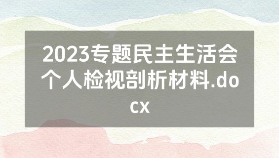 2023专题民主生活会个人检视剖析材料.docx