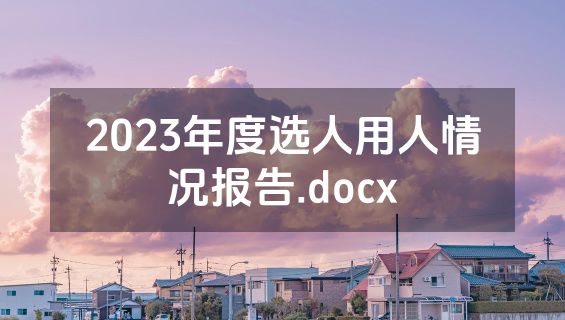 2023年度选人用人情况报告.docx