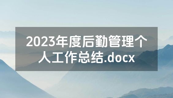 2023年度后勤管理个人工作总结.docx