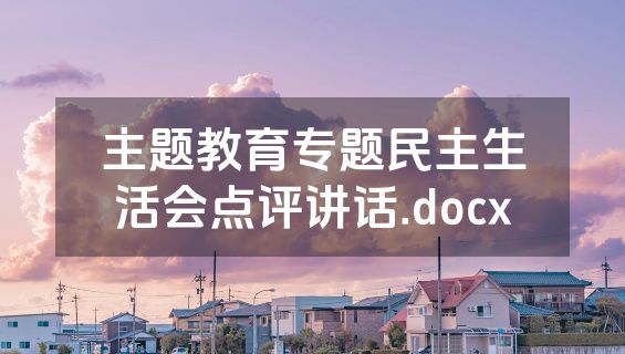 主题教育专题民主生活会点评讲话.docx