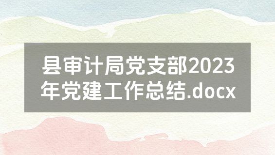 县审计局党支部2023年党建工作总结.docx