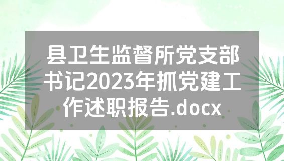 县卫生监督所党支部书记2023年抓党建工作述职报告.docx