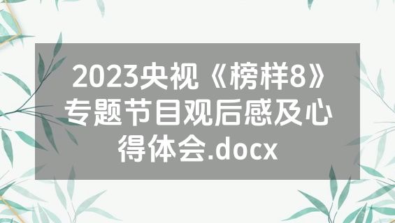 2023央视《榜样8》专题节目观后感及心得体会.docx