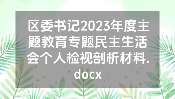 区委书记2023年度主题教育专题民主生活会个人检视剖析材料.docx