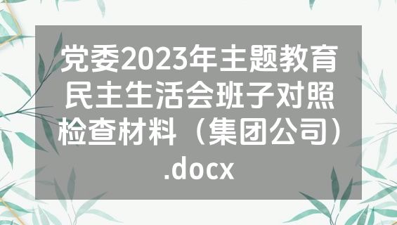 党委2023年主题教育民主生活会班子对照检查材料（集团公司）.docx