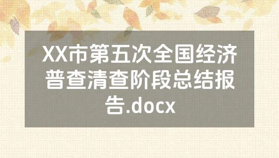 XX市第五次全国经济普查清查阶段总结报告.docx