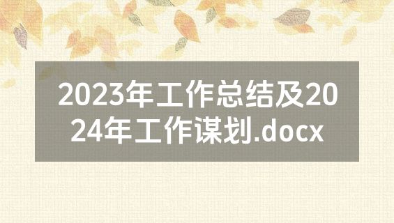 2023年工作总结及2024年工作谋划.docx