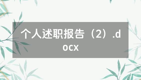 个人述职报告（2）.docx