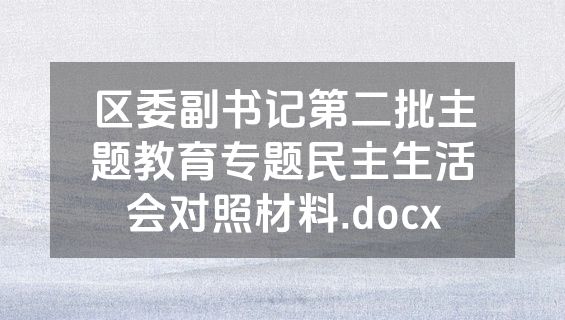 区委副书记第二批主题教育专题民主生活会对照材料.docx