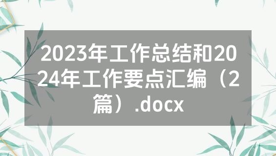 2023年工作总结和2024年工作要点汇编（2篇）.docx