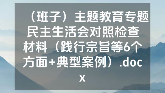 （班子）主题教育专题民主生活会对照检查材料（践行宗旨等6个方面+典型案例）.docx