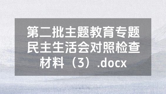 第二批主题教育专题民主生活会对照检查材料（3）.docx