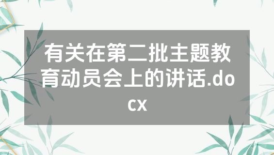 有关在第二批主题教育动员会上的讲话.docx