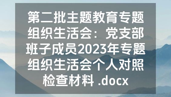 第二批主题教育专题组织生活会：党支部班子成员2023年专题组织生活会个人对照检查材料 .docx