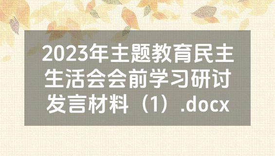 2023年主题教育民主生活会会前学习研讨发言材料（1）.docx