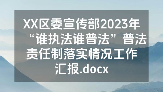 XX区委宣传部2023年“谁执法谁普法”普法责任制落实情况工作汇报.docx