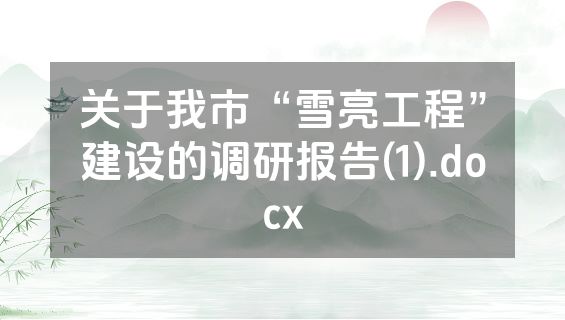 关于我市“雪亮工程”建设的调研报告(1).docx