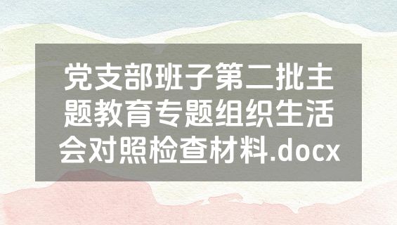 党支部班子第二批主题教育专题组织生活会对照检查材料.docx