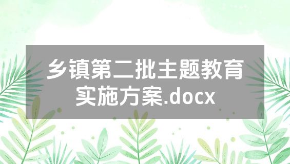 乡镇第二批主题教育实施方案.docx