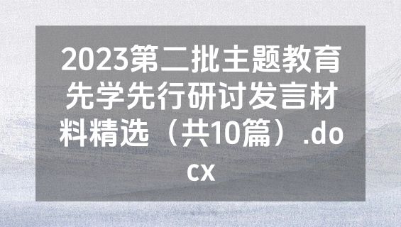 2023第二批主题教育先学先行研讨发言材料精选（共10篇）.docx
