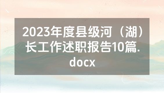 2023年度县级河（湖）长工作述职报告10篇.docx