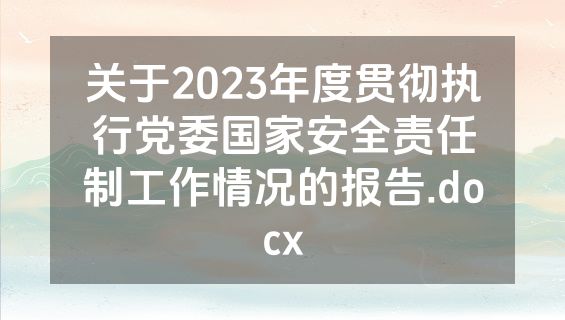 关于2023年度贯彻执行党委国家安全责任制工作情况的报告.docx