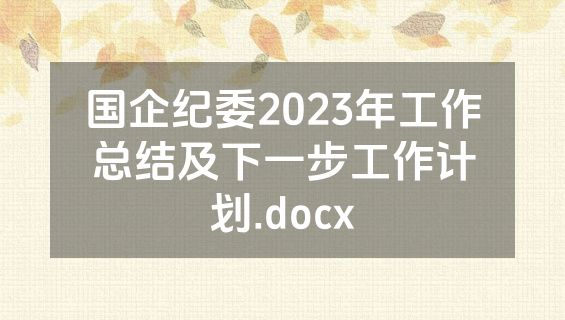 国企纪委2023年工作总结及下一步工作计划.docx