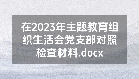 在2023年主题教育组织生活会党支部对照检查材料.docx