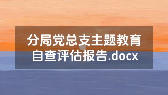 分局党总支主题教育自查评估报告.docx
