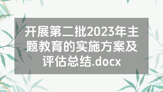 开展第二批2023年主题教育的实施方案及评估总结.docx