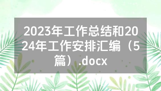 2023年工作总结和2024年工作安排汇编（5篇）.docx