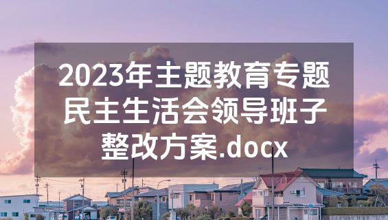 2023年主题教育专题民主生活会领导班子整改方案.docx