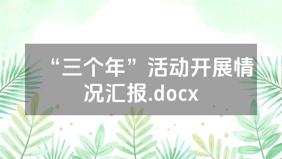 “三个年”活动开展情况汇报.docx