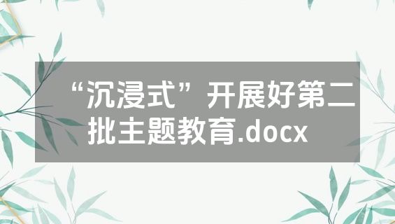 “沉浸式”开展好第二批主题教育.docx