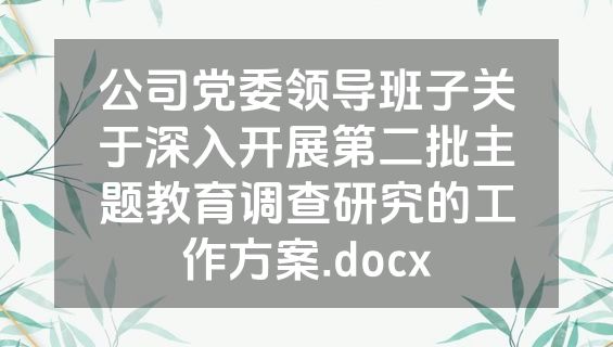 公司党委领导班子关于深入开展第二批主题教育调查研究的工作方案.docx