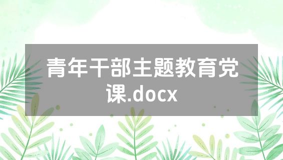青年干部主题教育党课.docx