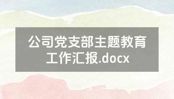公司党支部主题教育工作汇报.docx