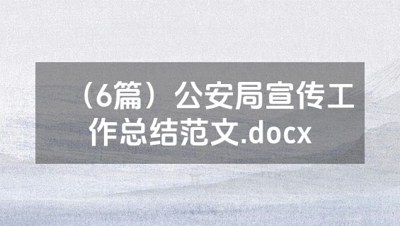 （6篇）公安局宣传工作总结范文.docx