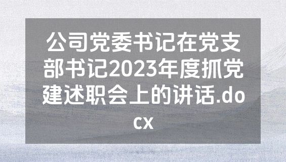 公司党委书记在党支部书记2023年度抓党建述职会上的讲话.docx