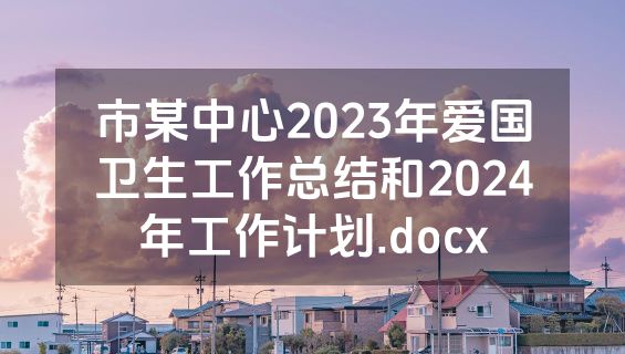 市某中心2023年爱国卫生工作总结和2024年工作计划.docx