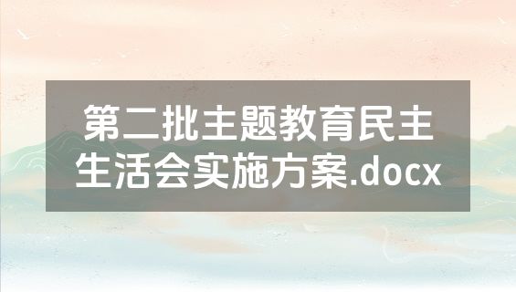 第二批主题教育民主生活会实施方案.docx