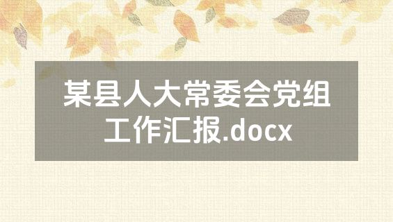 某县人大常委会党组工作汇报.docx